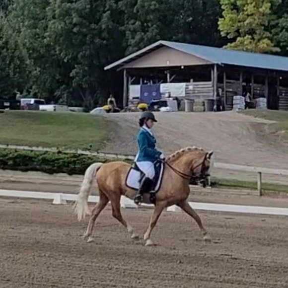 Meet your Posher, Amanda - Picture 5 of 7